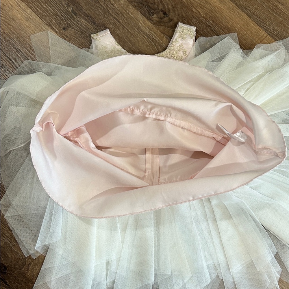 American Princess Girls Toddler Dress Beautiful Fancy Light Pink, Gold, & White - Picture 6 of 13